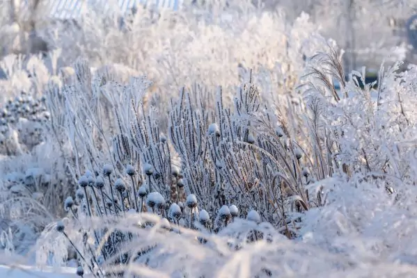 Impressionen Dezember