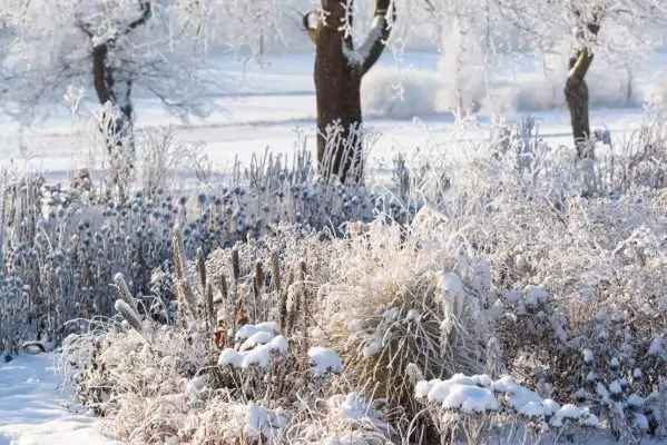 Impressionen Dezember