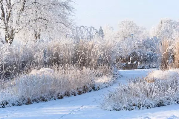 Impressionen Dezember