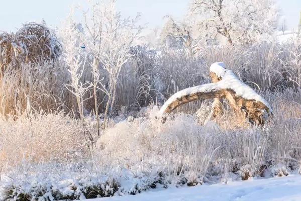 Impressionen Dezember