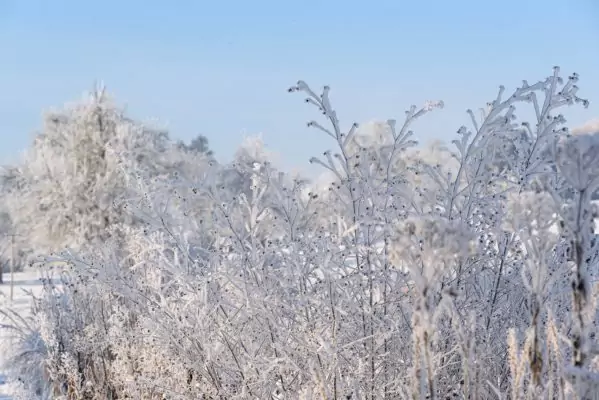 Impressionen Dezember