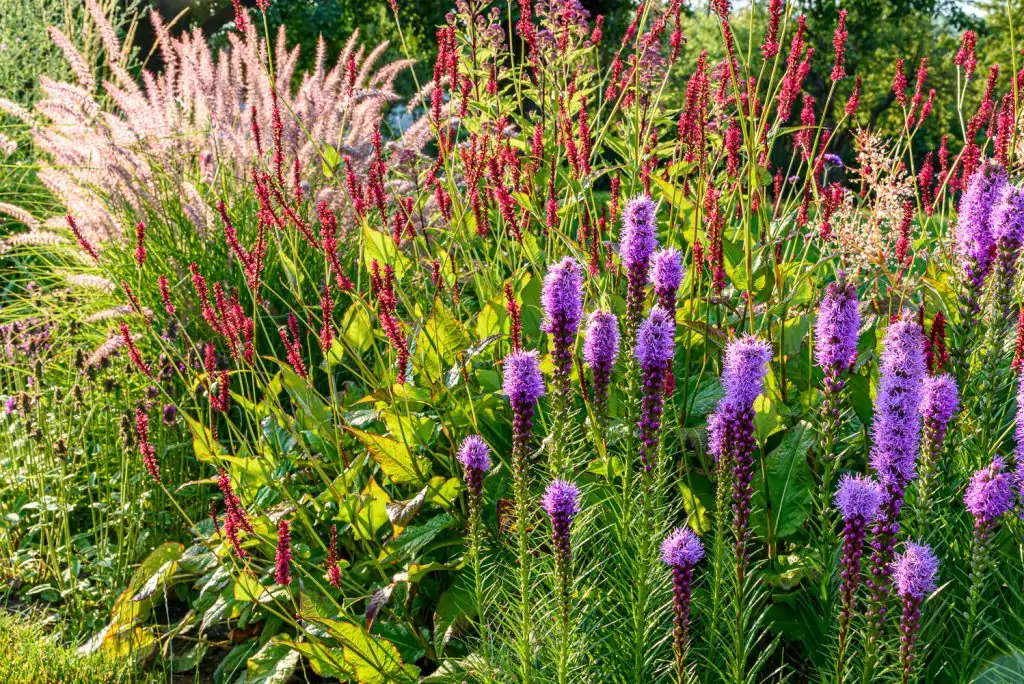 Natürliches Gartenerlebnis