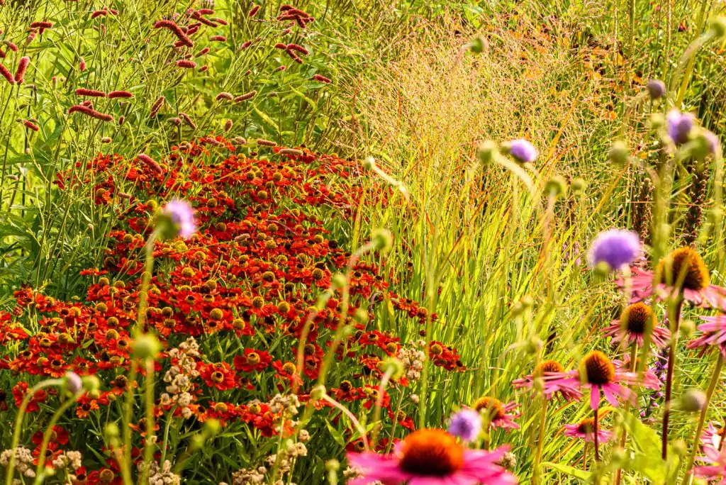 Natürliches Gartenerlebnis
