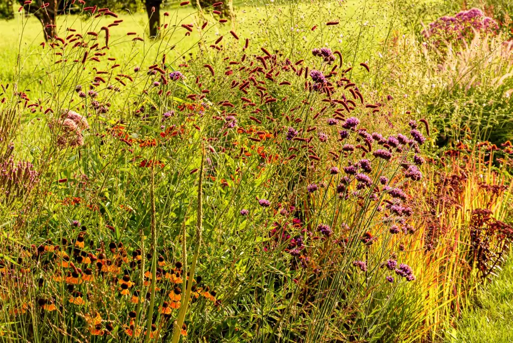 Natürliches Gartenerlebnis