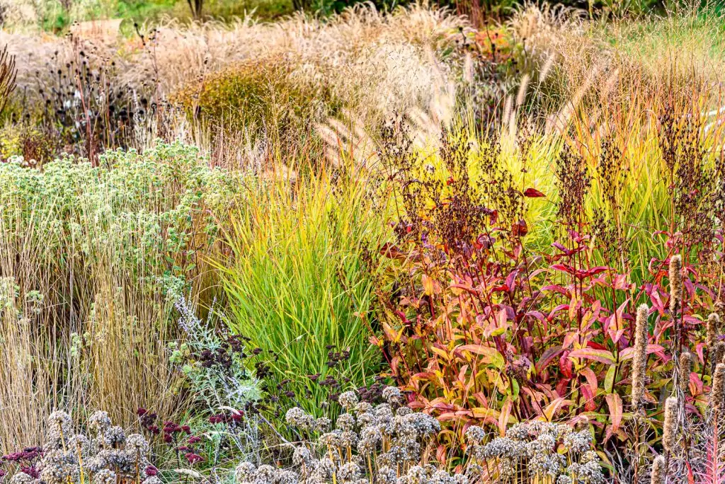 Natürliches Gartenerlebnis