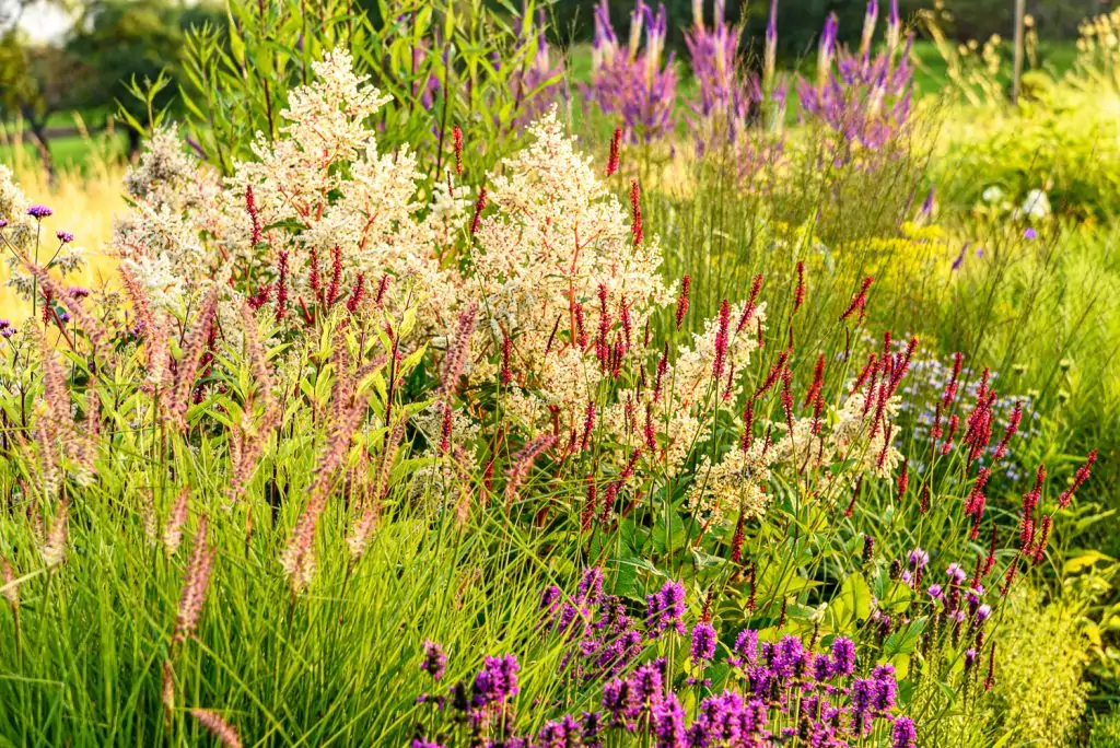 Natürliches Gartenerlebnis