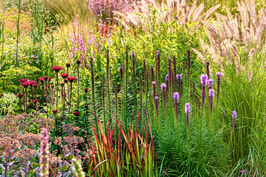 Natürliches Gartenerlebnis