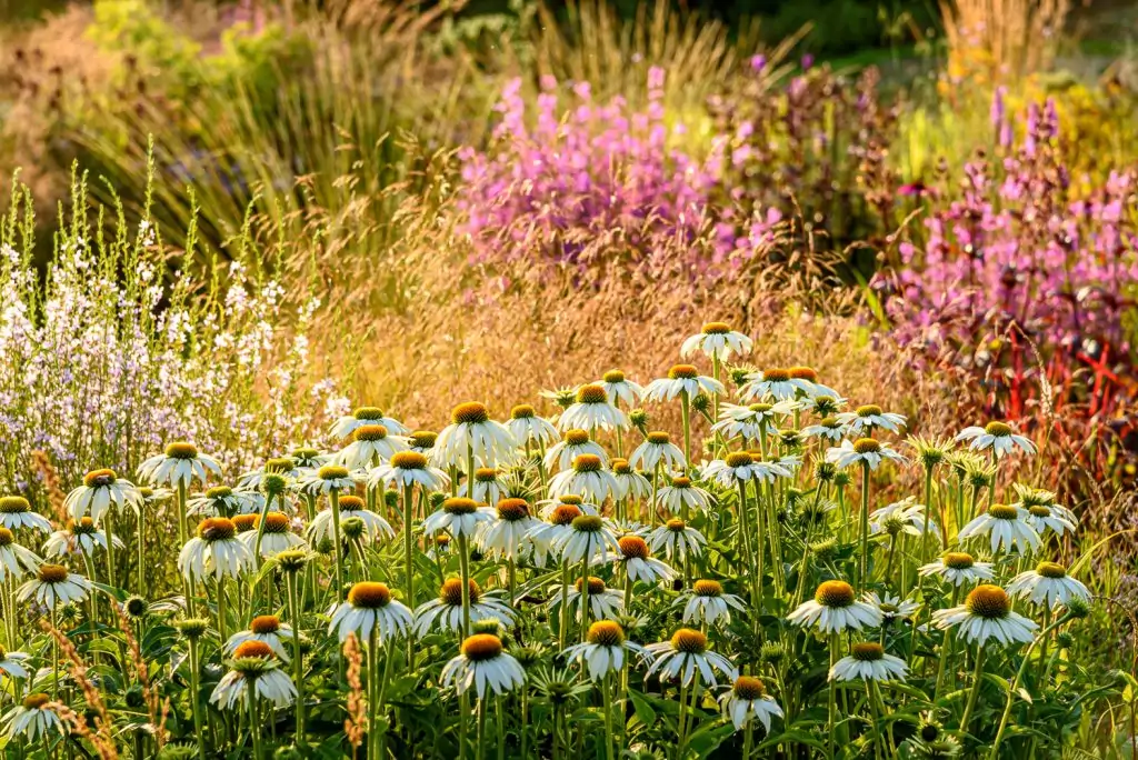 Natürliches Gartenerlebnis