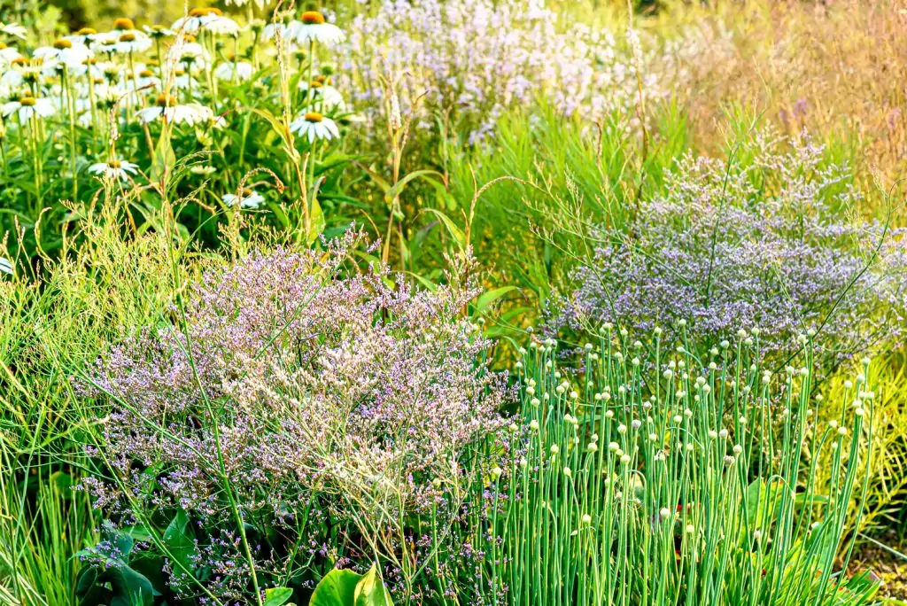 Natürliches Gartenerlebnis