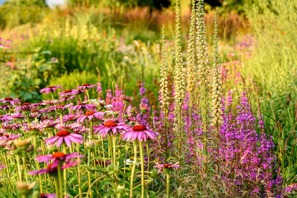Natürliches Gartenerlebnis