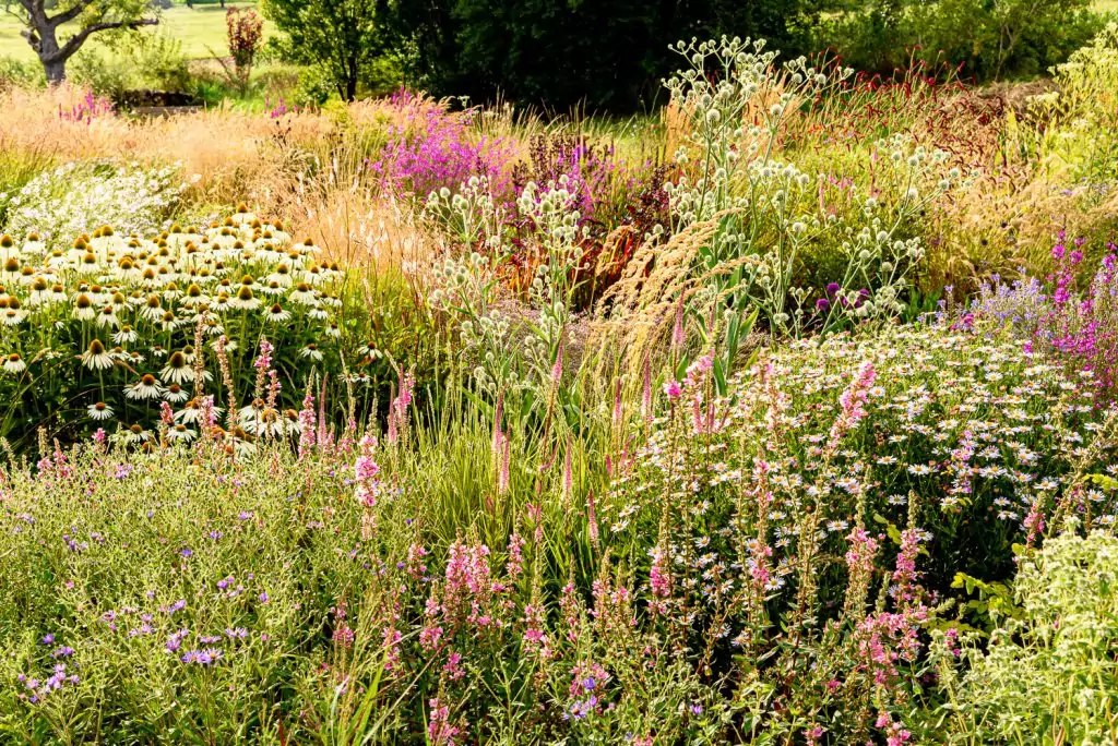 Natürliches Gartenerlebnis