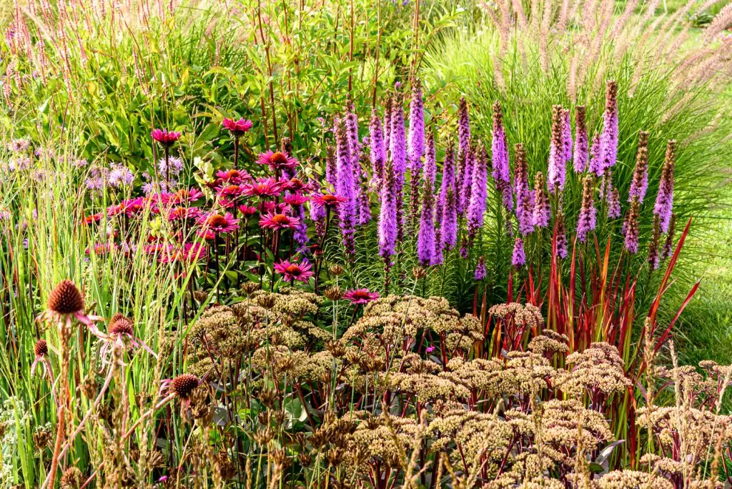 Natürliches Gartenerlebnis