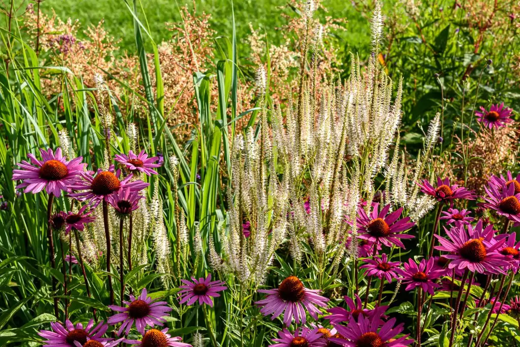 Natürliches Gartenerlebnis