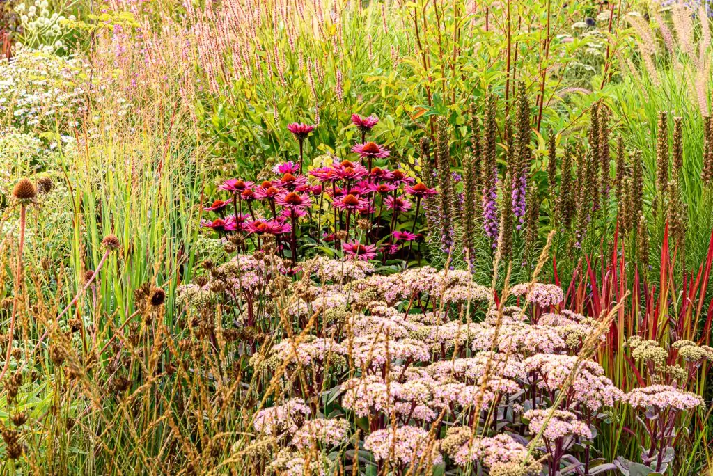 Natürliches Gartenerlebnis