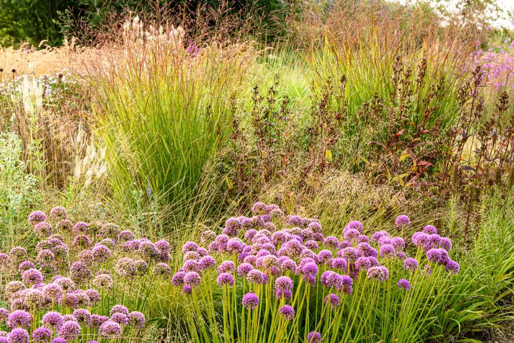 Natürliches Gartenerlebnis