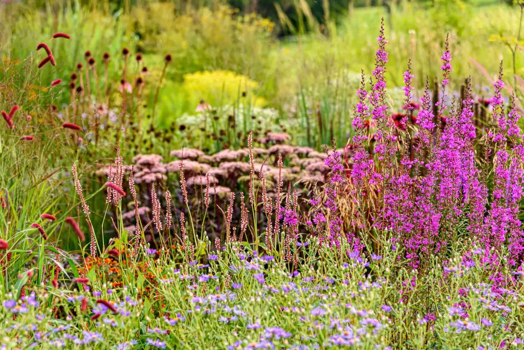 Natürliches Gartenerlebnis
