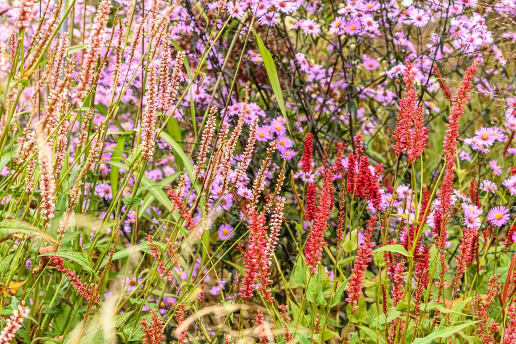 Natürliches Gartenerlebnis
