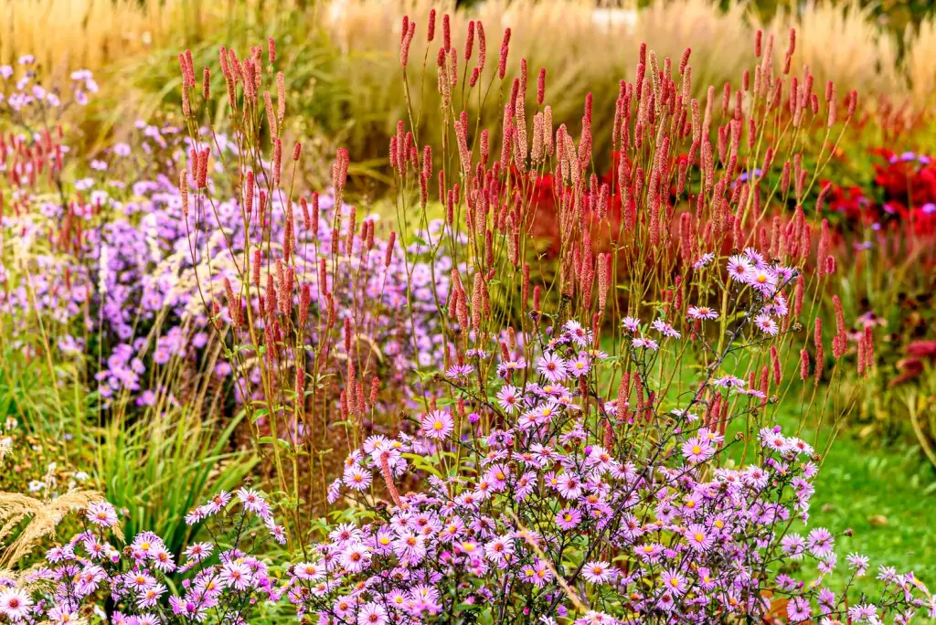 Natürliches Gartenerlebnis