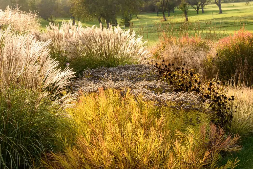 Natürliches Gartenerlebnis