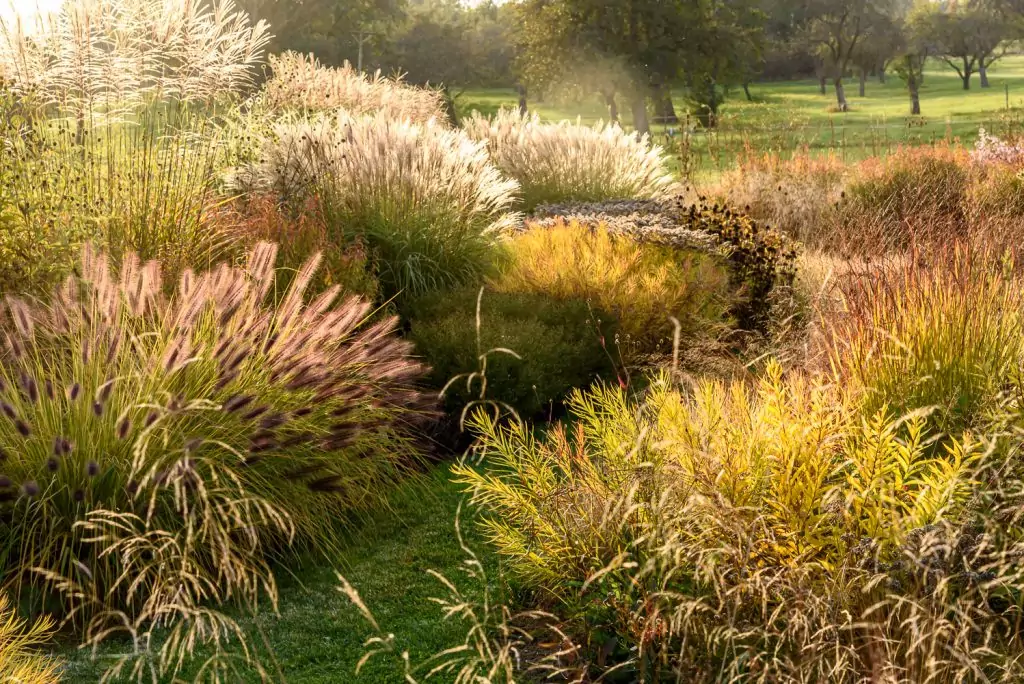Natürliches Gartenerlebnis