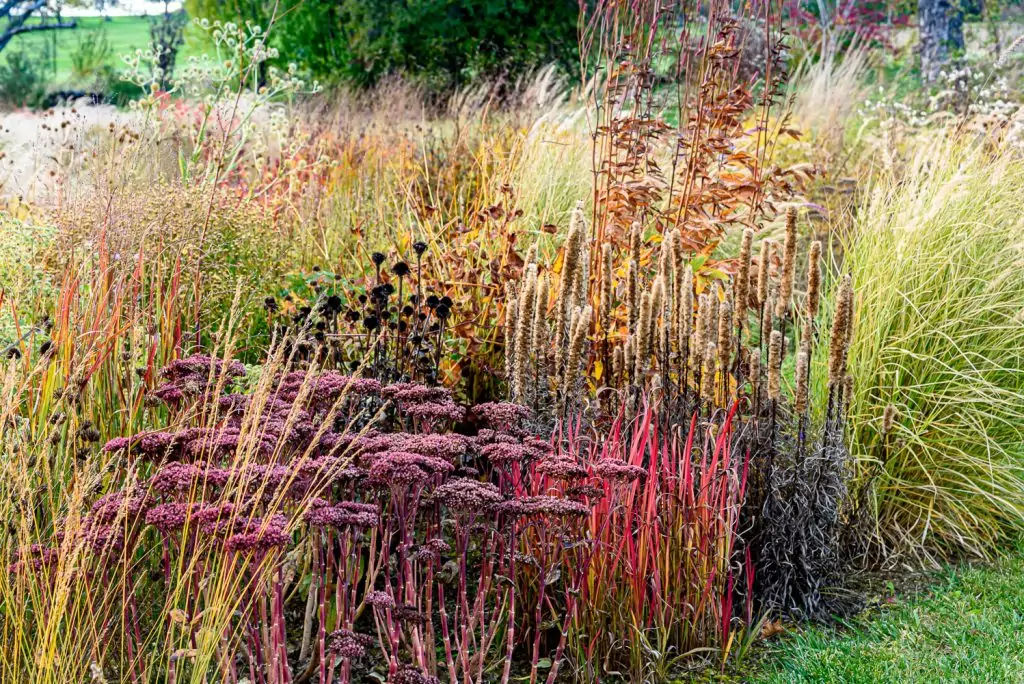 Natürliches Gartenerlebnis