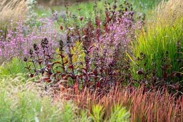 Natürliches Gartenerlebnis